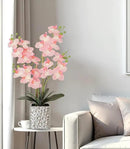 Orchid Artificial Flowers with Sliver Vase Large Silk Faux Phalaenopsis Flowers for Dining Room Table Floral Centerpieces Indoor Decoration,Pink by CozyNest Decor