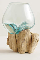 OMA Molten Glass on Driftwood – Hand Blown Vase, Terrarium, or Planter for Coastal & Boho Home Décor Centerpieces (6" - 7" High) by CozyNest Decor