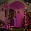 DAZZLE BRIGHT Halloween 300 LED String Lights, 100FT String Lights with 8 Lighting Modes, Halloween Decorations for Party Carnival Supplies, Outdoor Yard Garden Decor (Purple & Orange) by GreenHaven Gardens