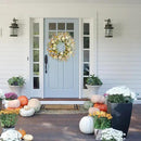 idyllic 20 Inches Spring Summer Front Door Wreath, Yellow and White Daisies Flowers, Ear of Wheat, Green Leaves Wreath for Front Door by CozyNest Decor