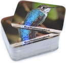 Menique Wild Animals Memory Matching Game – 80 Cards (40 Pairs) with Real Photos – Includes Educational Booklet with Animal Facts – Fun & Cognitive Game for Kids and Adults by TinyTreasures Baby Boutique