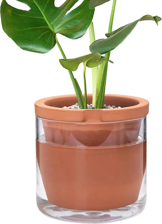 D'vine Dev 8 Inch Design Self Watering Pot for Indoor Plants, Terracotta Planter with Cylinder Glass Cup, Set of 1, 37-X-C-1