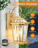 VIANIS Outdoor Porch Lights Wall Mount, Dusk to Dawn Exterior Light Fixture for House, 100% Anti-Rust Aluminum Waterproof Porch Light Outside Wall Lights, Gold Wall Sconce Lanterns for Garage by GreenHaven Gardens