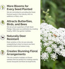 Eden Brothers Moon Garden Flower Mixed Seeds for Planting, 1 lb, 480,000+ Seeds with Cosmos Purity, Bishop's Flower | Attracts Pollinators, Plant in Spring or Fall, Zones 3, 4, 5, 6, 7, 8, 9, 10 by GreenHaven Gardens