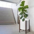 D'vine Dev Planter Pot with Stand - 16 Inch Plastic Cylinder Flower Pot with Wood Planter Holder for Indoor, Matte White Pot + Walnut Color Stand, 55-C-X-1 by GreenHaven Gardens