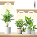 LORDEM 6.3” Ceiling Grow Lamp for Indoor Plants, 216 LEDs Full Spectrum Halo Plant Light, Under Cabinet Grow Lights with 4/8/12H Auto Timer, 3 Switch Modes, 4 Dimmable Brightness Levels, Tri Head by GreenHaven Gardens