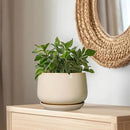 G EPGardening Ceramic Plant Pots - 9 Inch Round Planter, Ceramic Flower Pots with Drainage and Saucer, Modern Indoor Outdoor Planter, Room Decor, Home Gifts, Beige by GreenHaven Gardens