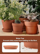 INGOFIN Terracotta Pots Set with Saucer - 5/6/7 inch Ceramic Clay Planters with Drainage Hole, Garden Flower Succulent Pots with Tray for Indoor Outdoor Plants, Set of 3 by CozyNest Decor