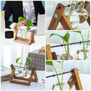 Kingbuy Glass Desktop Planter with Retro Wooden Stand and Plant Terrarium vase (2 Bulbs) for Indoor Office Desk Decor Accessories by GreenHaven Gardens