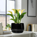 G EPGardening Ceramic Plant Pots - 9 Inch Round Planter, Ceramic Pots for Plants with Drainage and Tray, Flower Indoor Outdoor Planter, Modern Desk Decor, Plant Lover Gifts, Black by GreenHaven Gardens