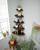Corner Shelf, 7inch Solid Walnut Wood Floating Corner Shelf Wall Mount Round End Floating Speaker Rack with Wire Hole for Small Plant Photo Frame for Bedroom Kitchen, Living Room by CozyNest Decor