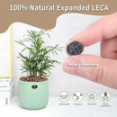 10LB Leca Clay Pebbles for Plants, Expanded Leca Balls for Indoor Plants, Orchid Potting Mix, Soil Amendment, Drainage, Easy Reusability, 4-16mm by GreenHaven Gardens