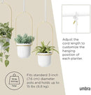 Umbra Triflora Hanging Planter for Window, Indoor Herb Garden, Set of 3, White/Brass by GreenHaven Gardens