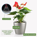 Dexceder 9x8 Inches Self Watering Planter Metallic Matte Indoor Outdoor, Inner Pot Design, Thickened Table Flower Plant Pot with Water Level Indicator (Smoky Gray) by CozyNest Decor