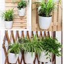 8 Packs 5" Plastic Self Watering Pots Wall Hanging Planters Wall Mounted Wicking Flower Pots for Indoor and Outdoor African Violet, Ocean Spider Plant, Orchid, White by GreenHaven Gardens