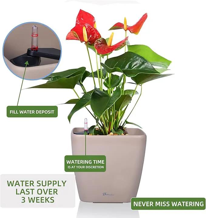 Dexceder 11x10 Self Watering Planter Indoor Outdoor, Inner Mat Design, Thickened Table Flower Plant Pot with Water Level Indicator (Taupe Matte), photo 5 of 6