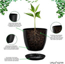 Plant Pots with Multi Drainage Holes - 5 Pieces Versatile, Sturdy Plastic, Stackable Design Home Decor Flower Pots for Indoor and Outdoor Gardening - Black by GreenHaven Gardens