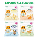 Little Bellies Organic Apple & Cinnamon Puffs Baby Snack (Pack of 18 x 0.42 oz Individual Packs) by TinyTreasures Baby Boutique