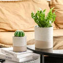 Nihow Self Watering Plant Pot for Indoor Plants: 4.5+6 Inch Ceramic Planter with Drainage Hole & Water Storage Plus - Cylinder Flower Pot with Wick for Herbs -White & Brown by GreenHaven Gardens