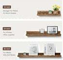 Fun Memories Picture Ledge Shelf for Wall, 16 inch Pine Wood Nursery Book Shelves Set of 4- Wall Book Shelves for Kids Room, Home Decor - Kitchen Spice-Carbonized by TinyTreasures Baby Boutique