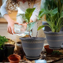 4 Pack 12 Inch Large Plant Pots, Plastic Flower Pot for Indoor & Outdoor with Drainage Holes & Saucer, Plaid Pattern Planters Garden Pots for Herbs by CozyNest Decor
