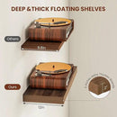 Wide Floating Shelves for Wall 12 Inch Deep, 24" X 12" X 2" Floating Shelf, 2 Inch Thick Shelf for Bathroom Bedroom Kitchen Book Room, Heavy Duty 55lbs Shelves for Farmhouse Decor Set of 2, Walnut by CozyNest Decor
