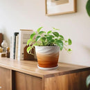 8 Inch Plant Pot, Ceramic Planter with Drainage and Saucer, Ceramic Pots for Plants, Indoor Plant pots, Flower pots，Modern Planter(Khaki + White) by GreenHaven Gardens
