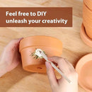 INGOFIN 5 Inch Terracotta Shallow Pots Set with Saucer - Ceramic Clay Pots with Drainage Hole, Terra Cotta for Plants for Indoor Outdoor Plants, Set of 6 by CozyNest Decor