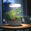 Grow Lights for Indoor Plants Small Potted - Full Spectrum, Auto 3/9/12H Timer, 10-Level Dimming & Adjustable Height - Compact Grow Light for Succulents, Herbs, Foliage in Home/Office (White,1PACK) by GreenHaven Gardens