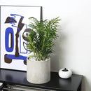 Plant Pots - 6.7 inch Cement Planters Indoor - Modern Grey Flower Pot with Drainage Hole - Home Office Decor by GreenHaven Gardens