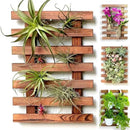 ShopLaLa Wall Planter – Wooden Air Plant Succulent Holder Hanger Indoor Outdoor, Live Orchid Wall Wood Display Frame Vertical Garden Balcony Deck Bathroom Macetas Para Plantas De Aire 15.7" (40cm) by GreenHaven Gardens