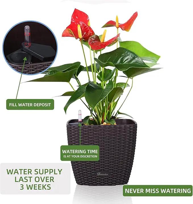 Dexceder 11x10 Self Watering Planter Indoor Outdoor, Inner Mat Design, Thickened Table Flower Plant Pot with Water Level Indicator (Brown Rattan), photo 5 of 6