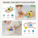 Tiny Land Montessori Toy Set for Babies 7-9 Months Senser Play Kit - 5-in-1 Wooden Learning Toys with Object Permanence Box, Sensory Ball, Stacking Cups and Mirror Puzzle,Body Board Book by TinyTreasures Baby Boutique