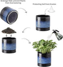 Nihow Ceramic Plant Pot: 6 Inch Planter with Drainage Hole & Saucer for Indoor & Outdoor Plants - Cylinder Round Flower Pot for Succulent/Herbs/Violets - Black & Vivid Blue by GreenHaven Gardens