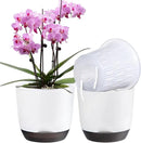 QCQHDU 2 Pack Orchid Pots with Holes for Repotting, Double-Layer and Self Watering Orchid Pot with Good Air Circulation by GreenHaven Gardens