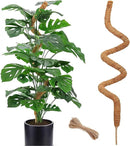 60 Inch Moss Pole for Plants Monstera, Tall Bendable Moss Poles for Climbing Plants Indoor, Large Handmade Plant Pole Sticks, Coco Coir Plant Support Stakes for Potted Plants, Pothos by GreenHaven Gardens
