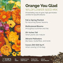 Eden Brothers Orange You Glad Flower Mixed Seeds for Planting, 1/4 lb, 120,000+ Seeds with Dahlia, Double Strawflower | Attracts Pollinators, Plant in Spring or Fall, Zones 3, 4, 5, 6, 7, 8, 9, 10 by GreenHaven Gardens