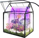 Plant Terrarium Kit with Grow Light, Rifny Large Glass Terrarium Jar with Absorbent Mat and Lid for Venus Fly Trap Succulent Live Air Plants Indoor Home Office Decor (Black, 8.9 x 5.9 x 9.9 inch) by GreenHaven Gardens