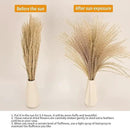 65PCS Pampas Grass Decor, Including pompas Floral, Reed Dried Grass and Bunny Tails Dried Flowers, Natural Dried Pampas Grass Bouquet for Boho Decor Wedding, Home Decoration by CozyNest Decor