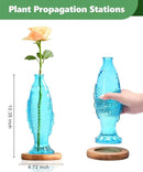 Nacome Fish Vase Glass Plant Terrarium with Wooden Stand,Planter Propagation Station for Home Office Hydroponics Desk Decoration,Unique Gardening Gifts for Plant Lovers Women Mom(Blue) by CozyNest Decor