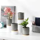 TAMAYKIM 4 Inch Cylinder Ceramic Plant Pots with Drainage Holes & Saucers, Glazed Green Grey Small Boho Planters with Trays for Indoor Flower, Snake Plants, Succulent, Cactus, Set of 4 by CozyNest Decor