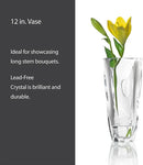 Mikasa Cassia Crystal Glass Vase, 12 Inch by GreenHaven Gardens