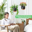 Hanging Planters for Indoor Outdoor Plants, 2 Pack Self Watering Hanging Pot with Drainage Holes, Removable Tray & 2 Kinds of Plant Hangers, 8'' Hanging Flower Pots for Home Garden Decor, Black by GreenHaven Gardens