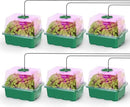 MIXC 6-Pack Seed Starter Tray Kit with Plant Light Seedling Trays with Adjustable Humidity Domes & Clear Cell Trays 12 Full Spectrum LED Beads for Indoor Plant Growth (Green) by GreenHaven Gardens