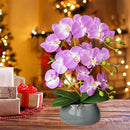 SJC Orchids Artificial Flowers with Gray Vase Purple Faux Orchid Phalaenopsis Arrangements for Kitchen Table Centerpiece Home Decoration Indoor(3.54" D x 7.87" W x 20" H) by CozyNest Decor