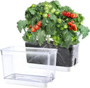 Self Watering Planter, 2 Pack African Violet Pots, Rectangular Self-Watering Clear Planters Box for Devil's Ivy, Spider Plants, Orchid. Flower Planting and Small Vegetables for Home Office by GreenHaven Gardens