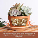 INGOFIN 5 Inch Terracotta Shallow Pots Set with Saucer - Ceramic Clay Pots with Drainage Hole, Terra Cotta for Plants for Indoor Outdoor Plants, Set of 6 by CozyNest Decor
