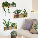 Green Plant Wall Decals 3D Bonsai Tropical Plant Wall Sticker Creative Vinyl Peel and Stick Removable Wall Art Decor for Living Room Bedroom Home Office (Tropical Plant 01) by TinyTreasures Baby Boutique