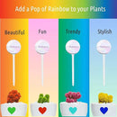 LGL Plant Watering Globes - Automatic Self Watering Globes. Decorative Self Watering Planter Inserts Made From Hand-Blown Durable Glass. Self Watering Spikes to Support Plant Health. 2 Pack, Medium. by GreenHaven Gardens