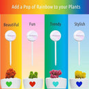 LGL Plant Watering Globes - Automatic Self Watering Globes. Decorative Self Watering Planter Inserts Made From Hand-Blown Durable Glass. Self Watering Spikes to Support Plant Health. 4 Pack, Medium. by GreenHaven Gardens